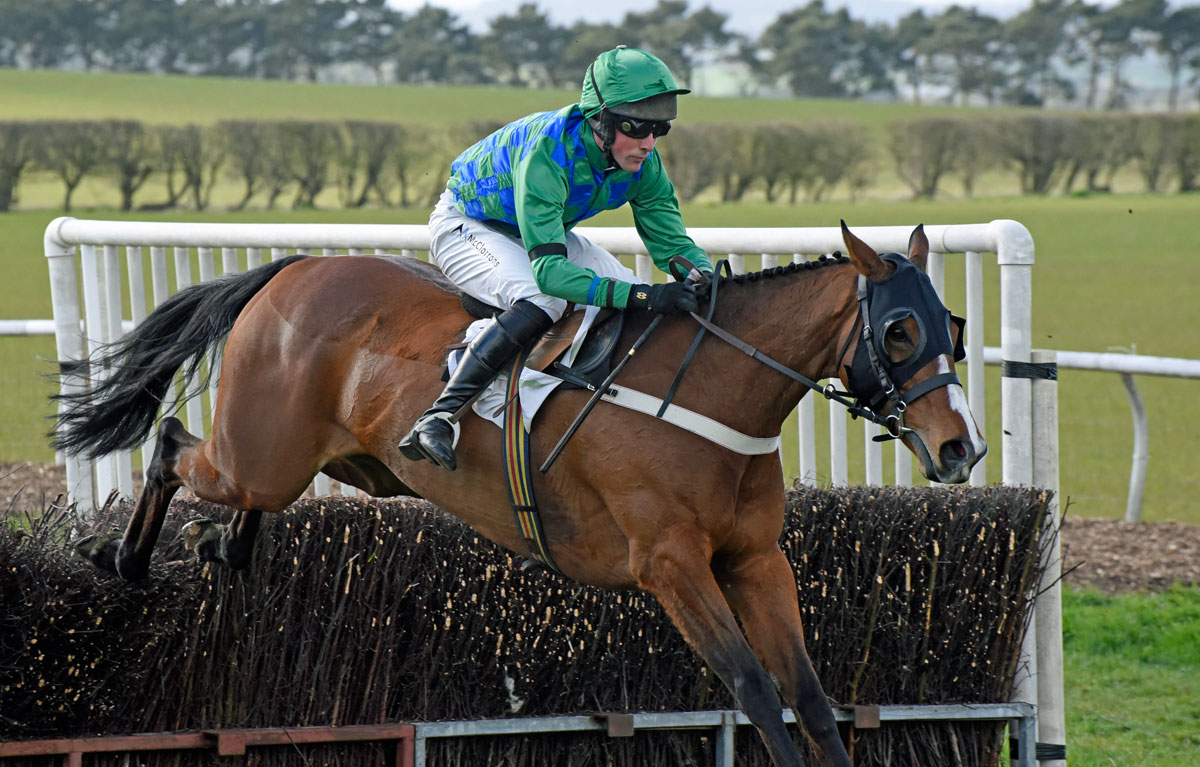 Bedale Point to Point Blog