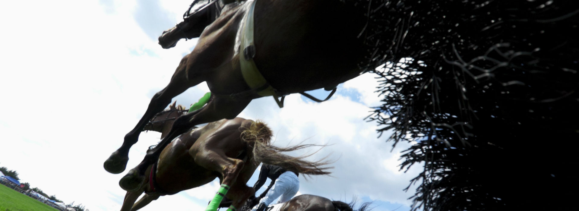 Bedale Point to Point Tweetstake blog post