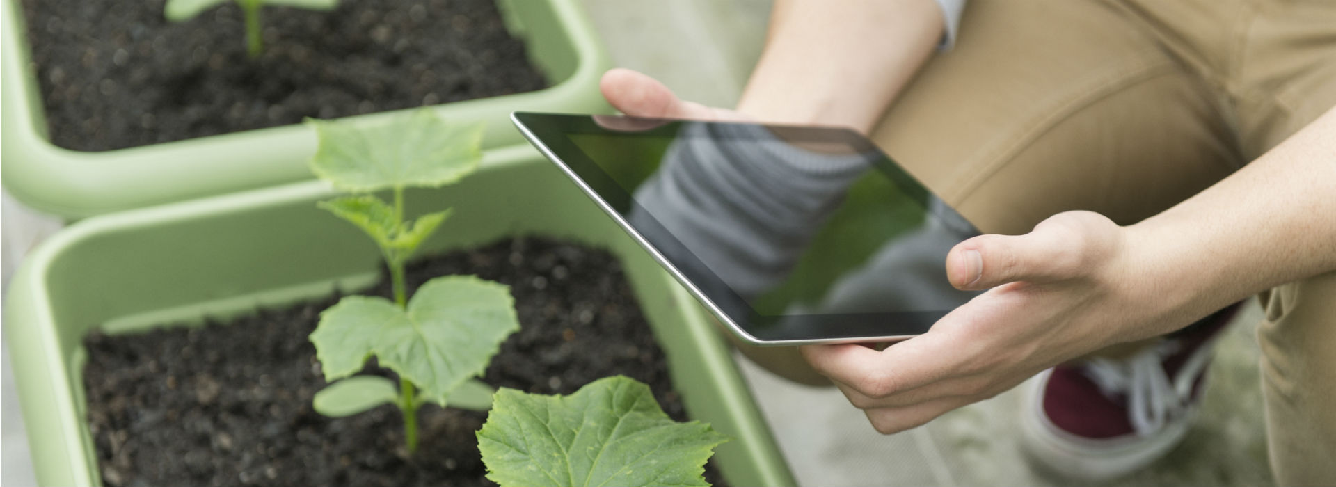 IAgSA Farm Secretary blog post