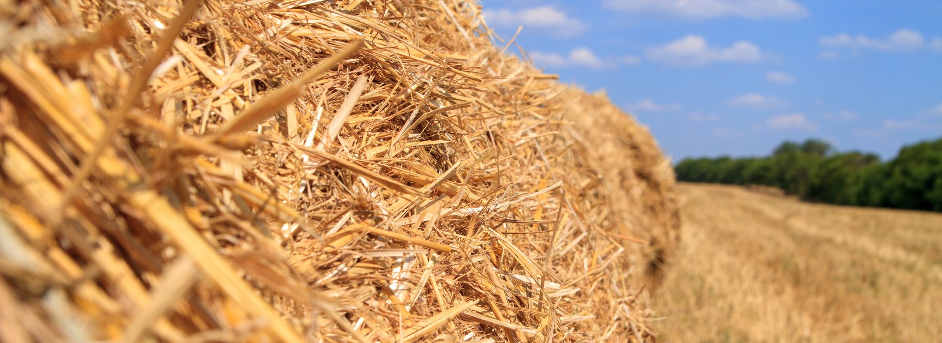 Farming Heatwave blog post