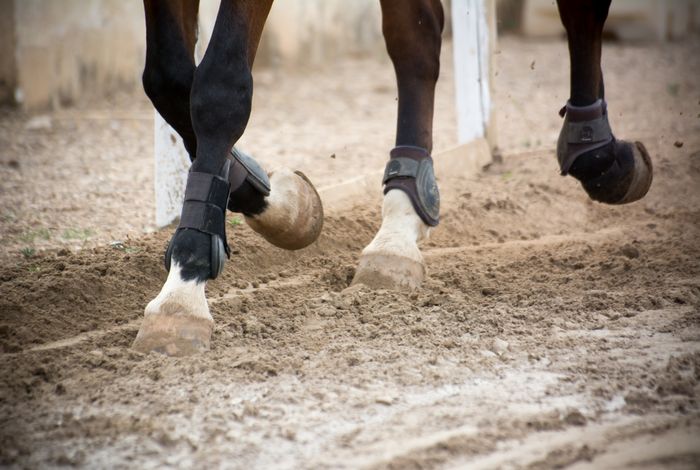 Riding School surfaces blog post