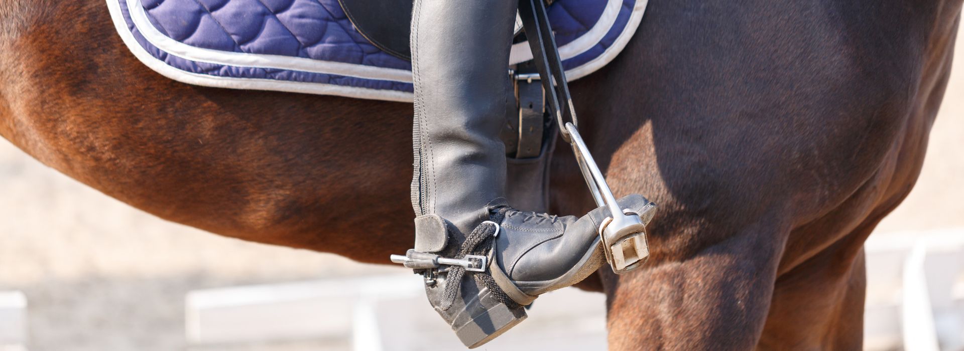 Equine Insurance mistakes blog post