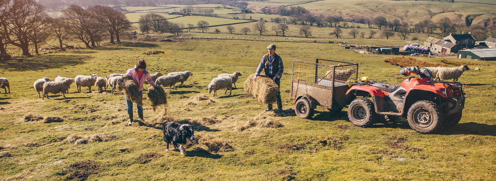 Farm Health & Safety blog post