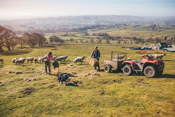 Farm Health & Safety blog post