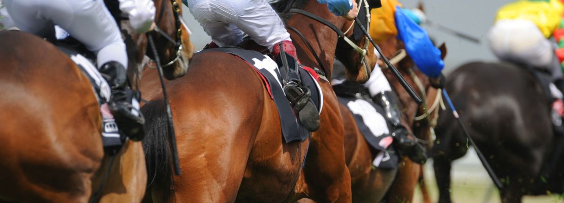 Scott’s Cheltenham Festival Musings…