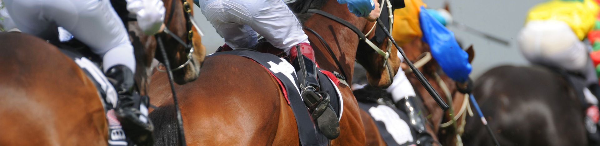 Scott’s Cheltenham Festival Musings…