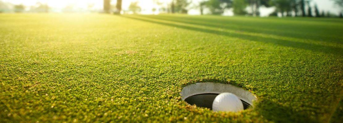 2020protour ‘Race to 100 Birdies’!