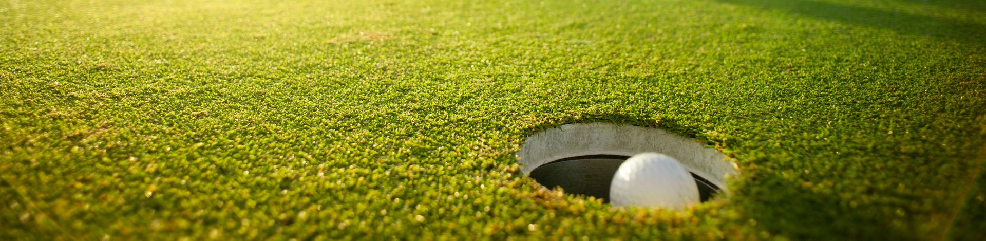 2020protour ‘Race to 100 Birdies’!
